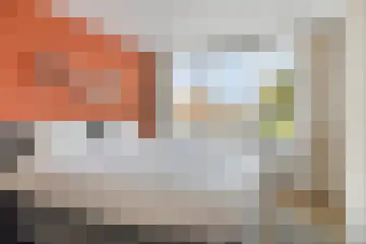 Omloop 11 Dinteloord thumbnail 23