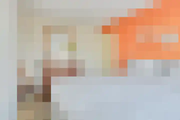 Omloop 11 Dinteloord thumbnail 24