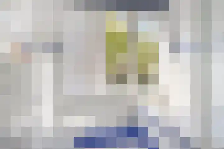 Omloop 11 Dinteloord thumbnail 25