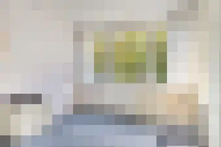 Omloop 11 Dinteloord thumbnail 28