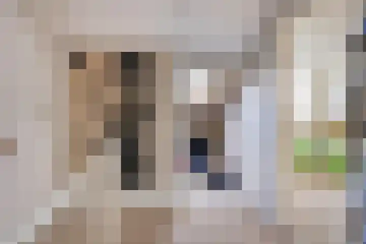 Omloop 11 Dinteloord thumbnail 33