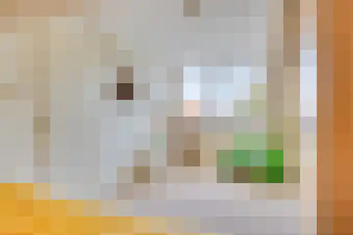 Omloop 11 Dinteloord thumbnail 35