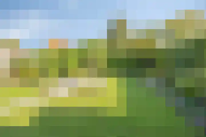 Omloop 11 Dinteloord thumbnail 36