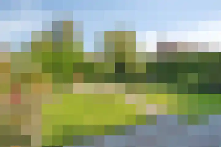 Omloop 11 Dinteloord thumbnail 37