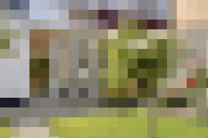 Omloop 11 Dinteloord thumbnail 39