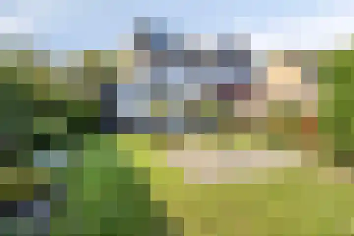 Omloop 11 Dinteloord thumbnail 40