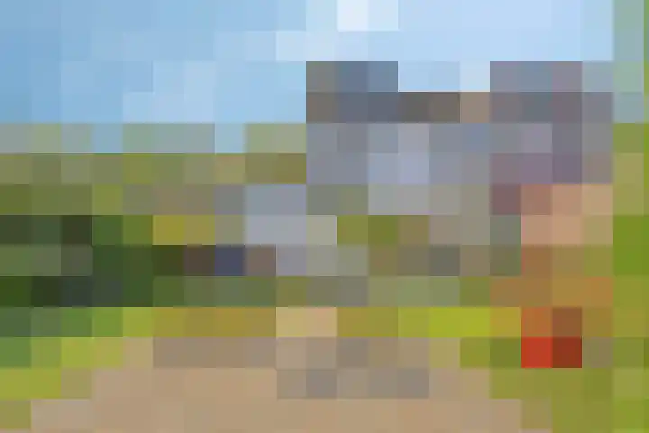 Omloop 11 Dinteloord thumbnail 41