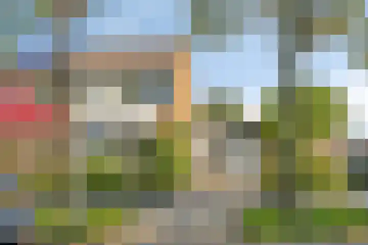 Omloop 11 Dinteloord thumbnail 42