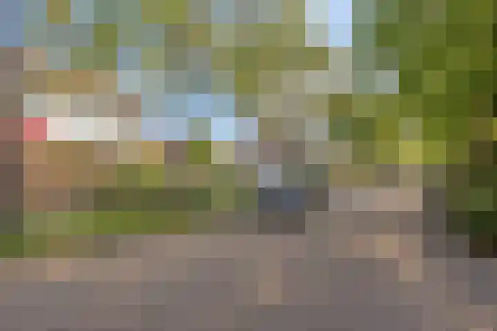 Omloop 11 Dinteloord thumbnail 44