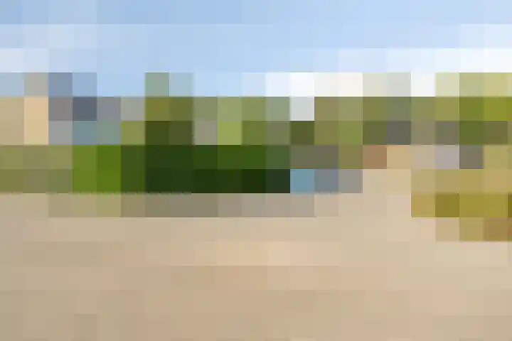 Omloop 11 Dinteloord thumbnail 45