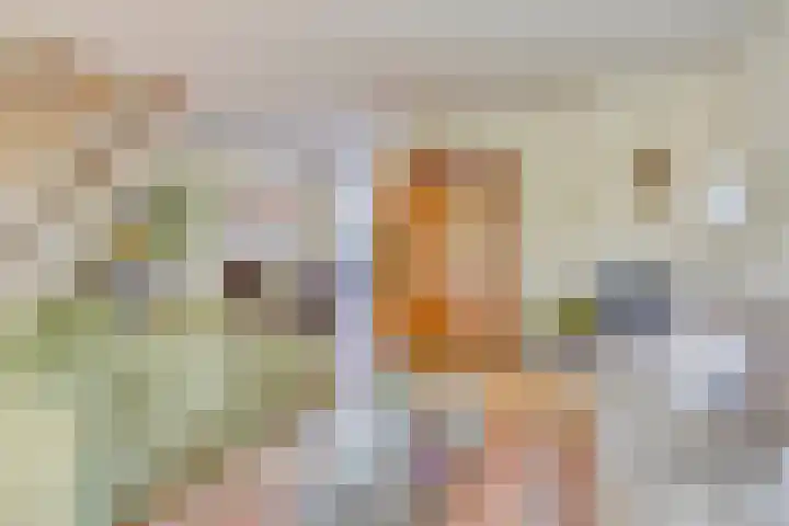 Omloop 11 Dinteloord thumbnail 5