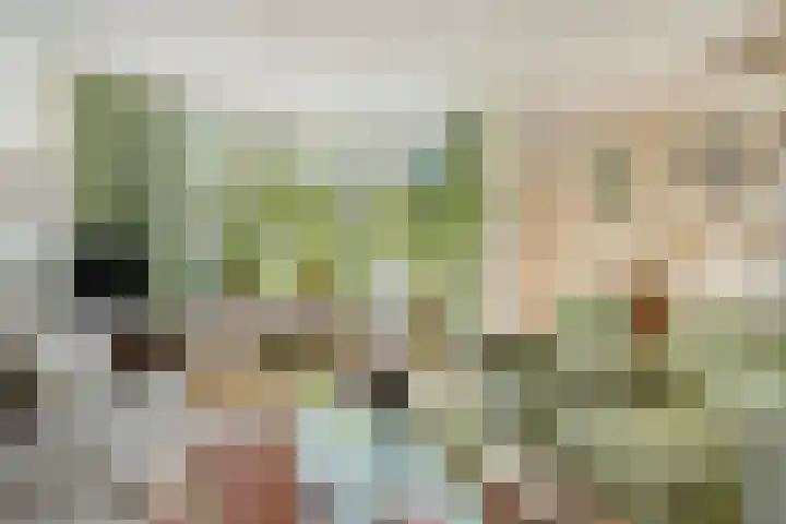 Omloop 11 Dinteloord thumbnail 6