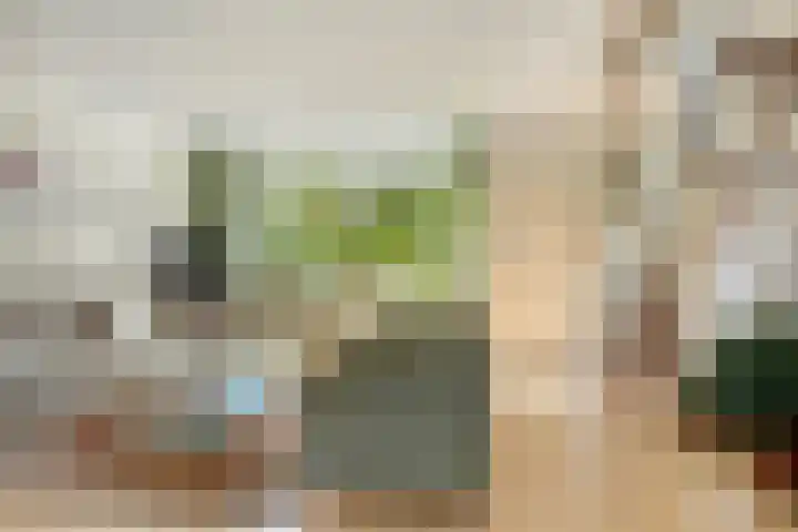 Omloop 11 Dinteloord thumbnail 7