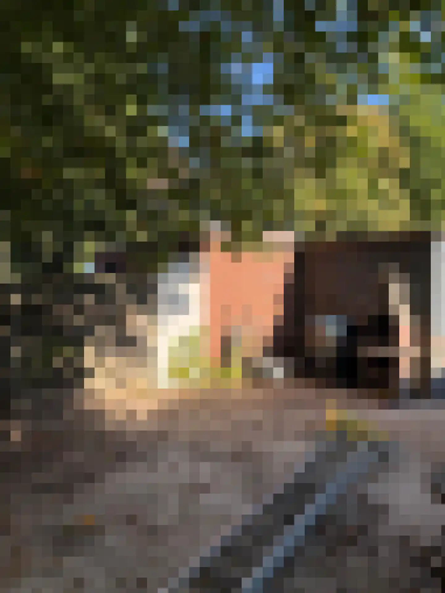 Omloop 11 Terheijden thumbnail 10