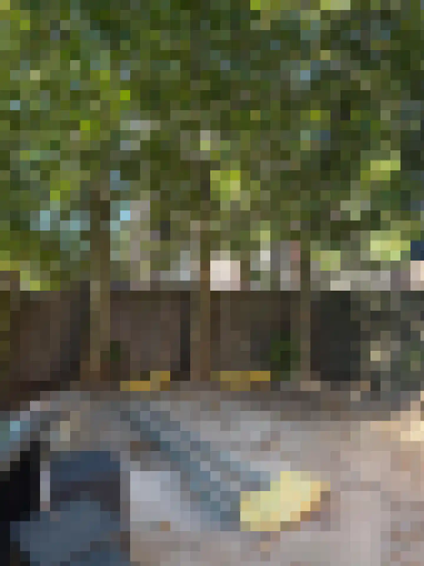 Omloop 11 Terheijden thumbnail 12