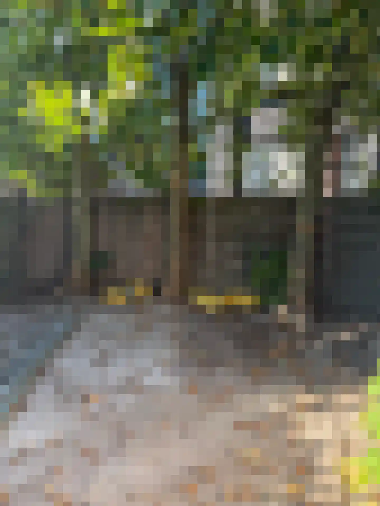 Omloop 11 Terheijden thumbnail 13