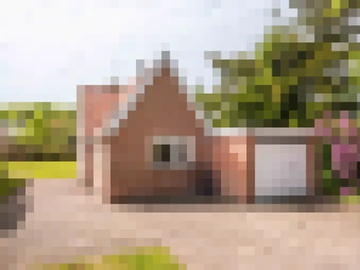 Omloop 12 Schoorl thumbnail 27