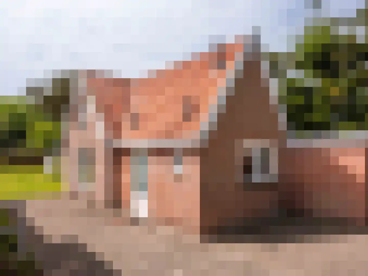 Omloop 12 Schoorl thumbnail 28