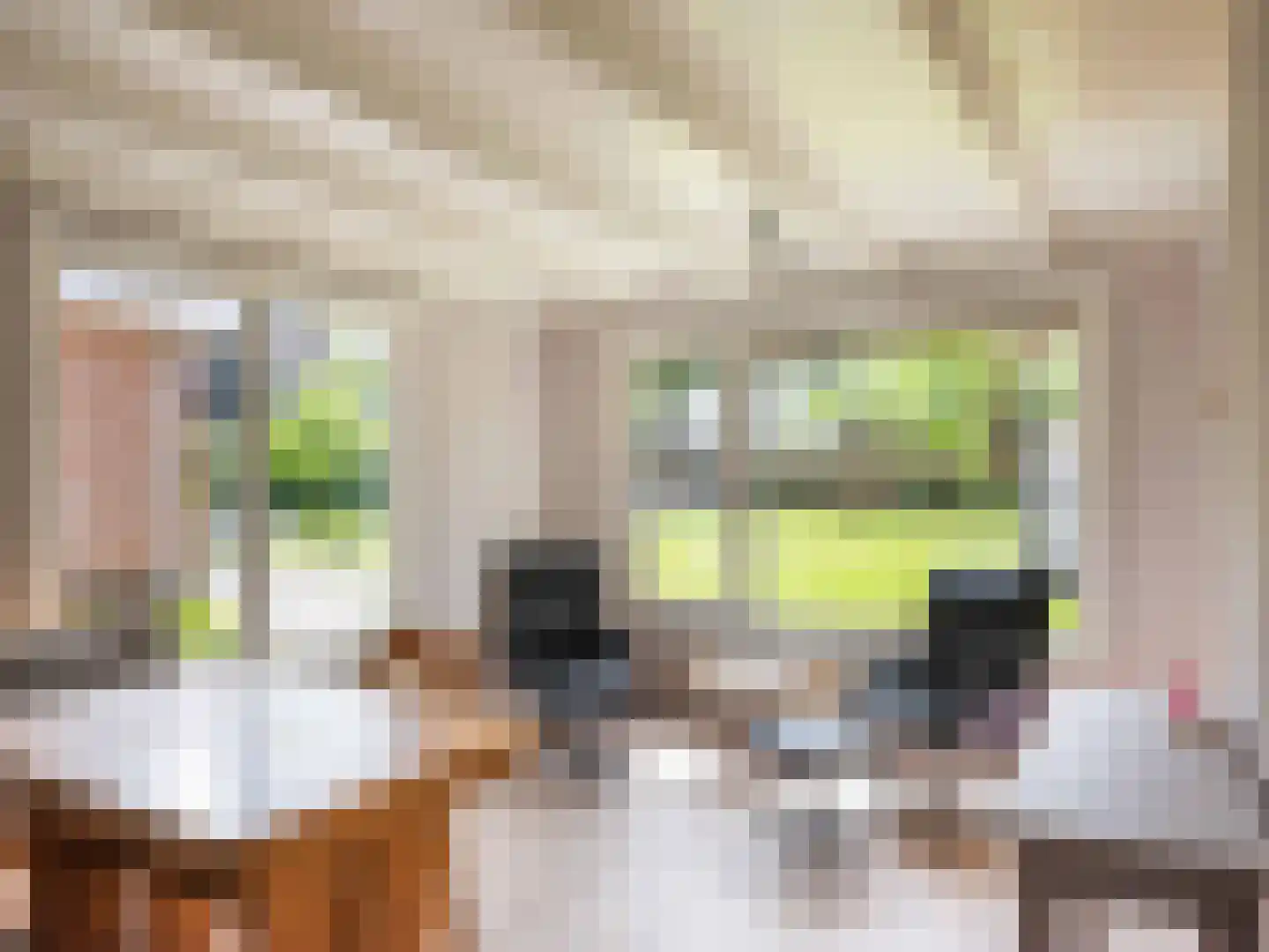 Omloop 12 Schoorl thumbnail 32