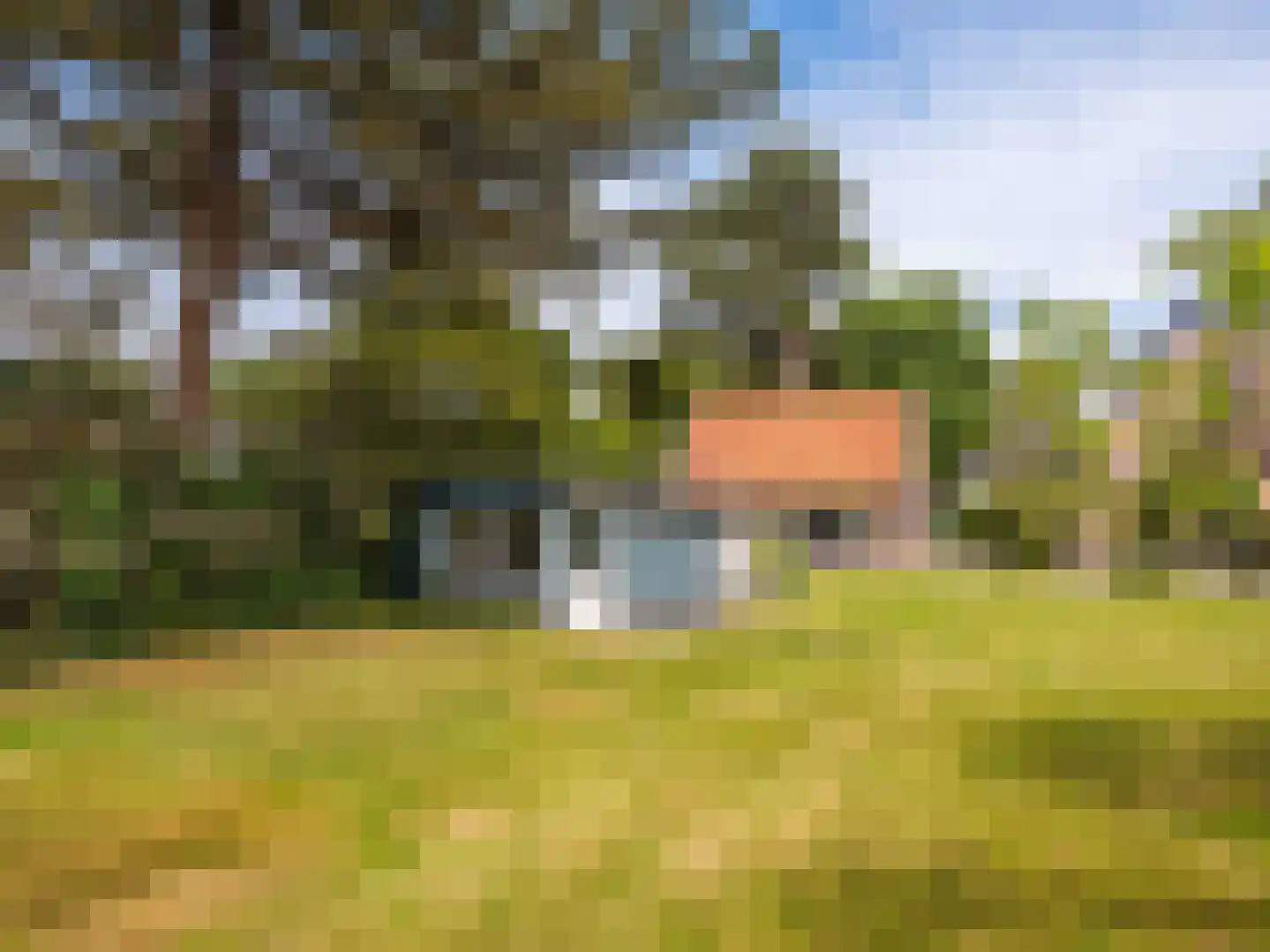 Omloop 12 Schoorl thumbnail 38