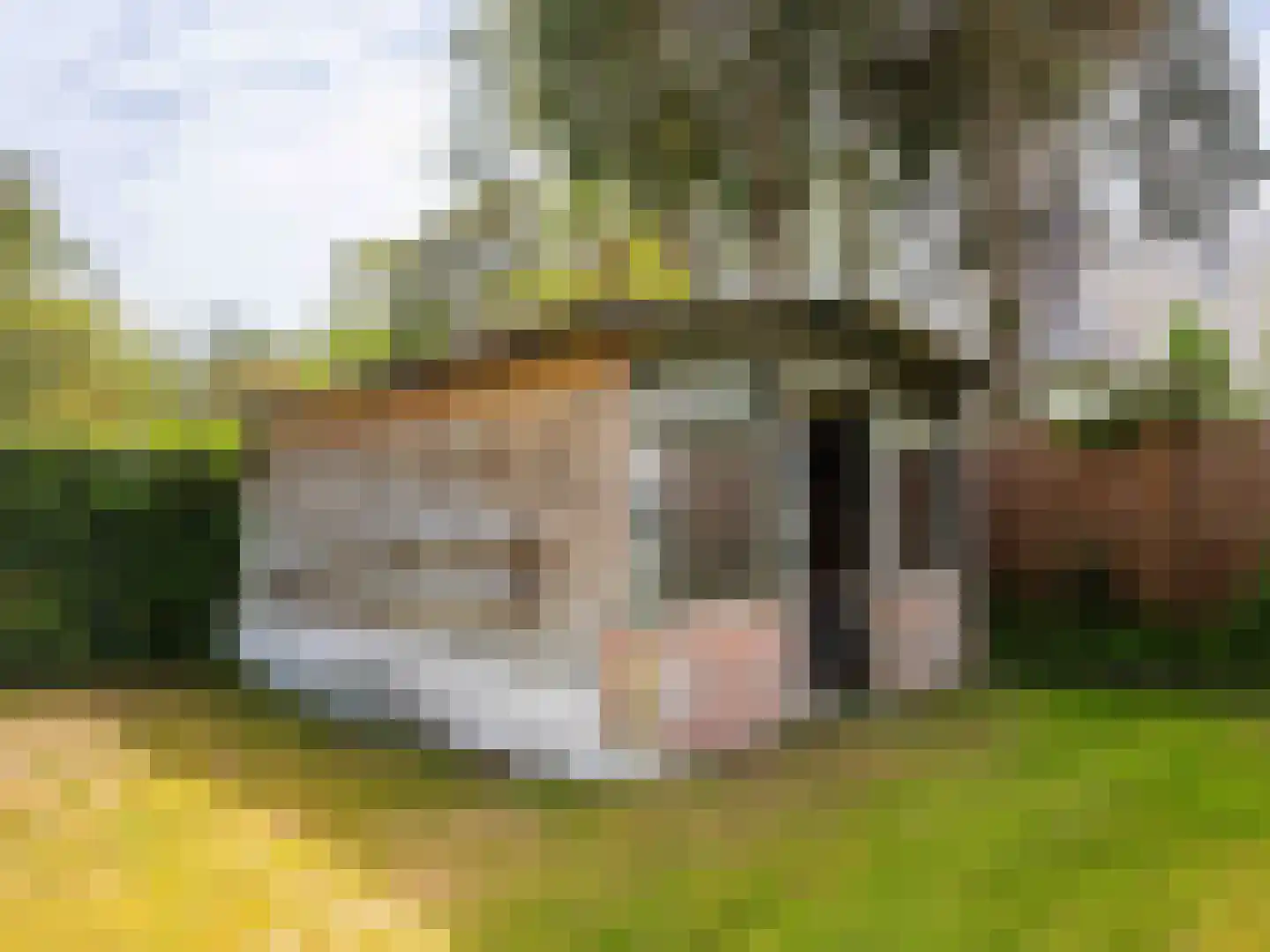 Omloop 12 Schoorl thumbnail 41