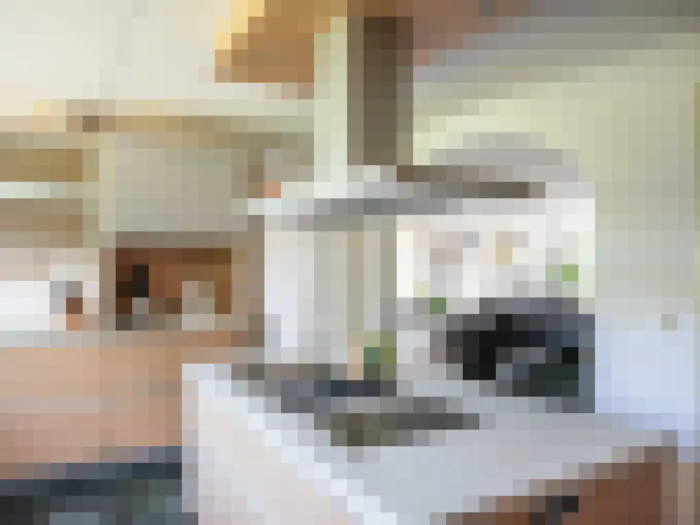 Omloop 12 Schoorl thumbnail 8