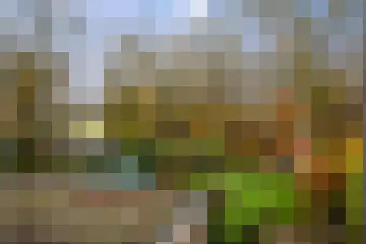 Omloop 129 Twello thumbnail 22