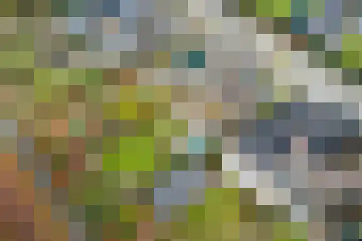 Omloop 129 Twello thumbnail 30