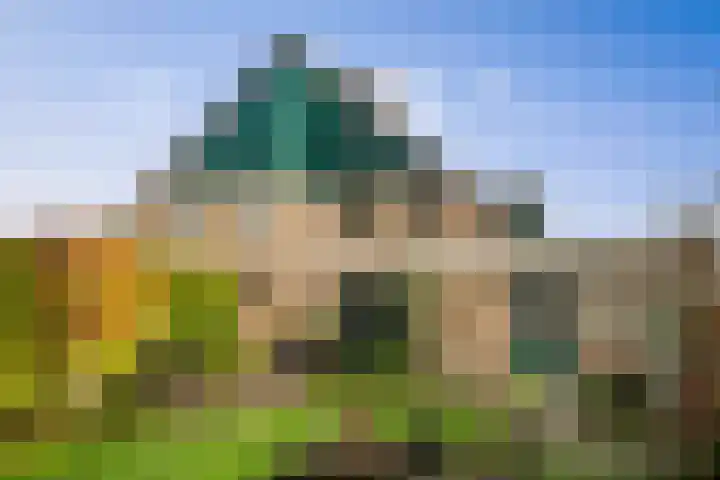 Omloop 129 Twello thumbnail 31