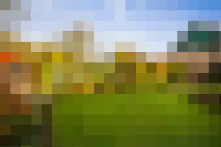 Omloop 129 Twello thumbnail 34