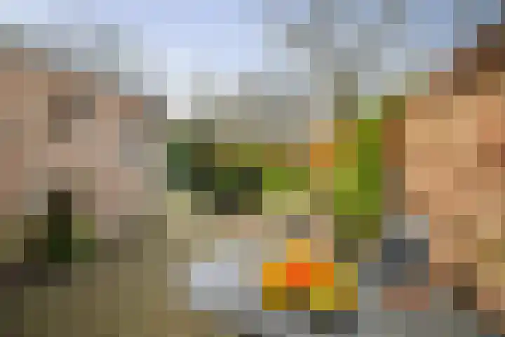 Omloop 129 Twello thumbnail 37