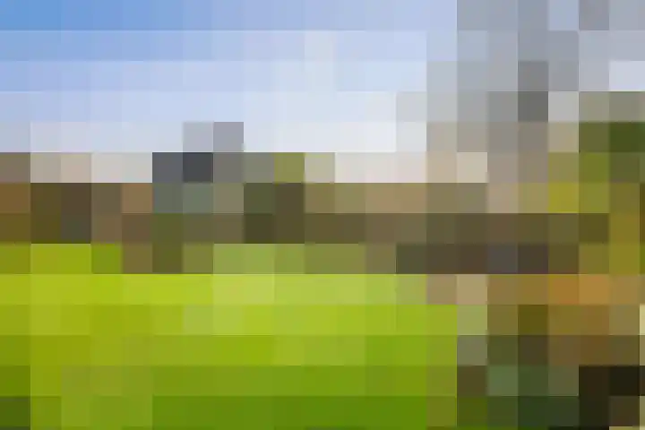 Omloop 129 Twello thumbnail 38