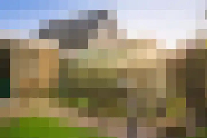 Omloop 129 Twello thumbnail 39