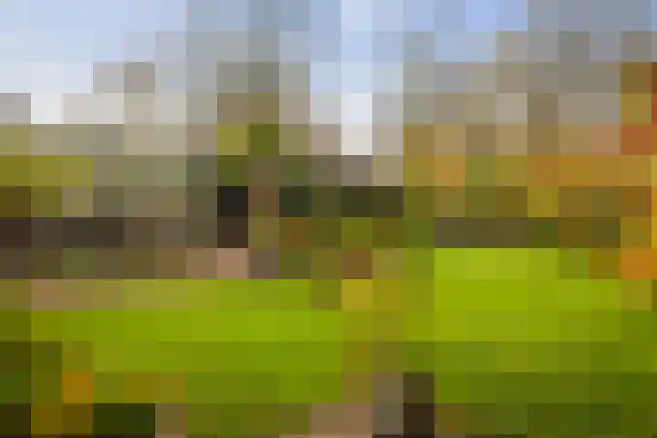 Omloop 129 Twello thumbnail 40