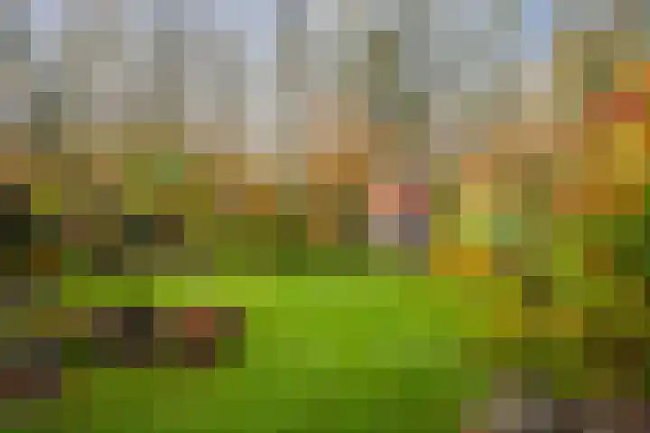 Omloop 129 Twello thumbnail 41