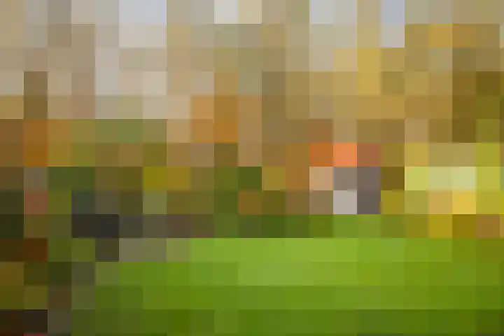 Omloop 129 Twello thumbnail 42