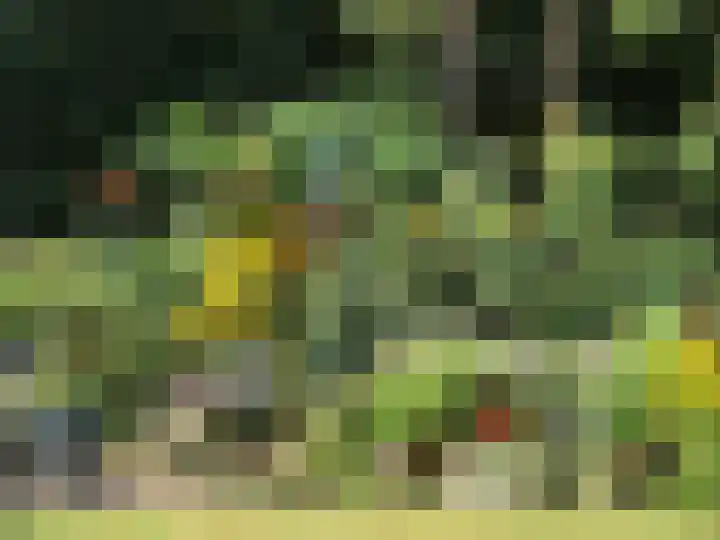 Omloop 129 Twello thumbnail 44