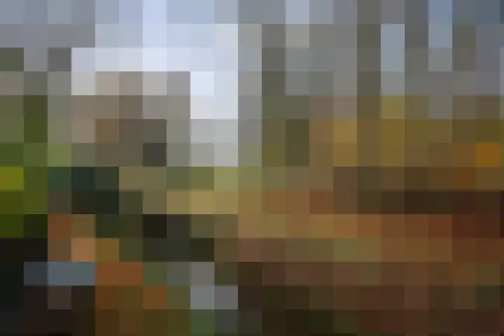 Omloop 129 Twello thumbnail 45
