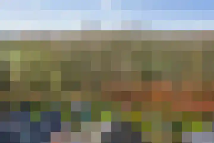 Omloop 129 Twello thumbnail 48