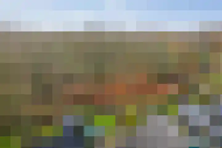 Omloop 129 Twello thumbnail 49