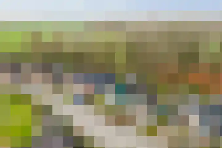 Omloop 129 Twello thumbnail 50