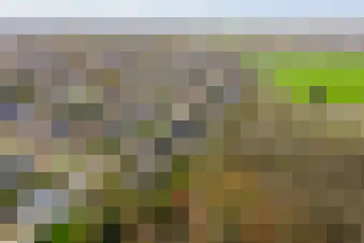 Omloop 129 Twello thumbnail 51