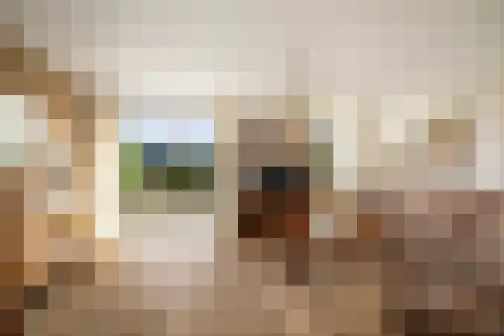 Omloop 129 Twello thumbnail 7