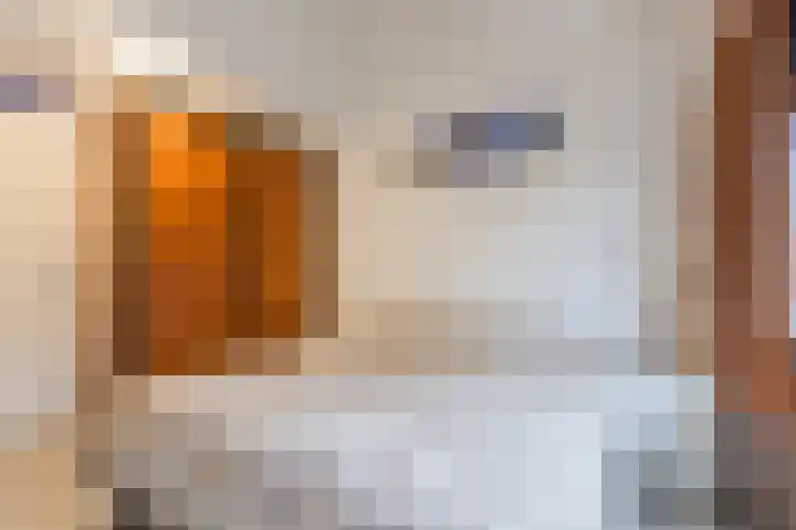 Omloop 16 Bergen op Zoom thumbnail 18