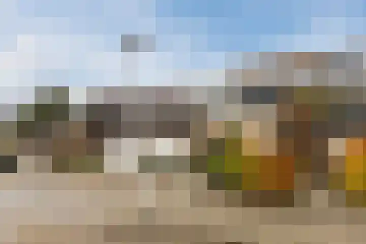 Omloop 16 Bergen op Zoom thumbnail 31
