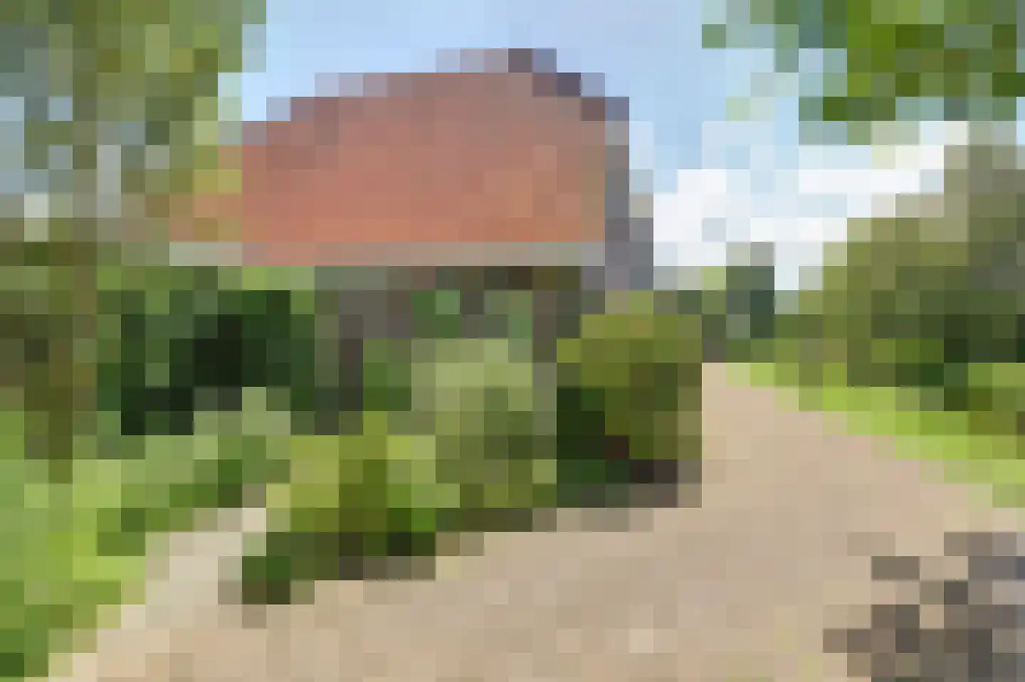 Omloop 16 Waddinxveen thumbnail 36