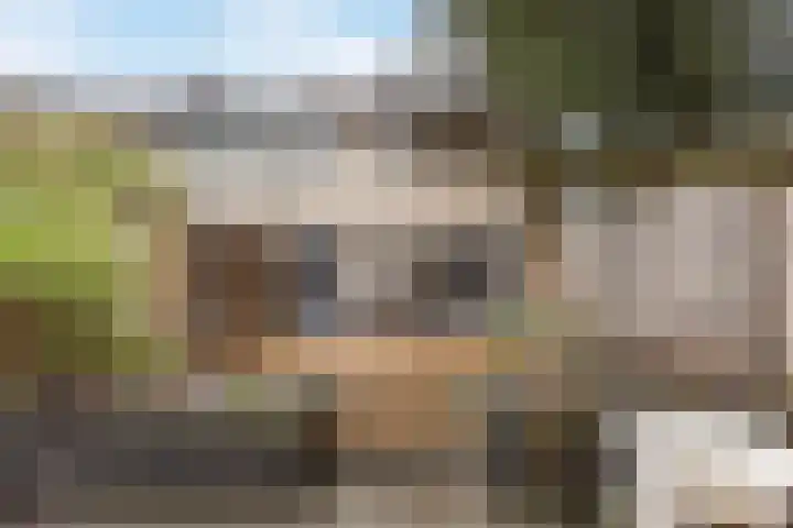 Omloop 20 Bergen op Zoom thumbnail 36