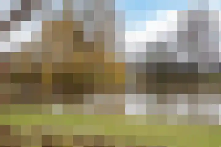 Omloop 20 Bergen op Zoom thumbnail 41