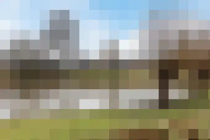Omloop 20 Bergen op Zoom thumbnail 42