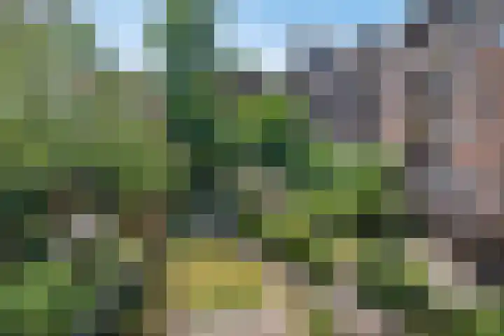 Omloop 20 Bergen op Zoom thumbnail 47